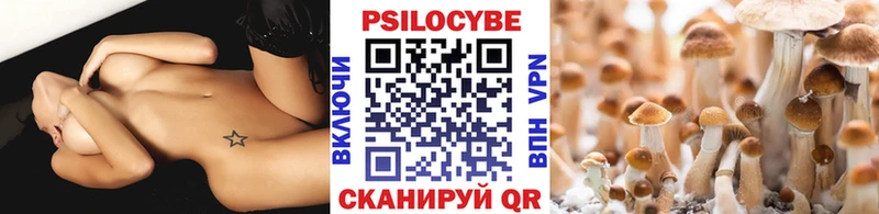 наркота  Покров  Псилоцибиновые грибы Psilocybine cubensis 